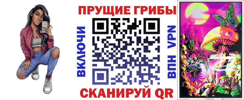 Псилоцибиновые грибы Cubensis  Кумертау 