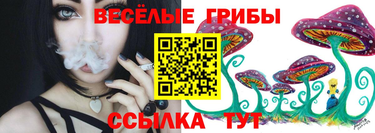 Галлюциногенные грибы прущие грибы Кумертау